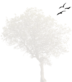 עץ וציפורים